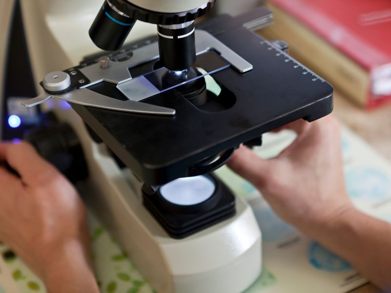 High Power Microscopes How to Choose the Right Scanning Electron Microscope for your Laboratory
