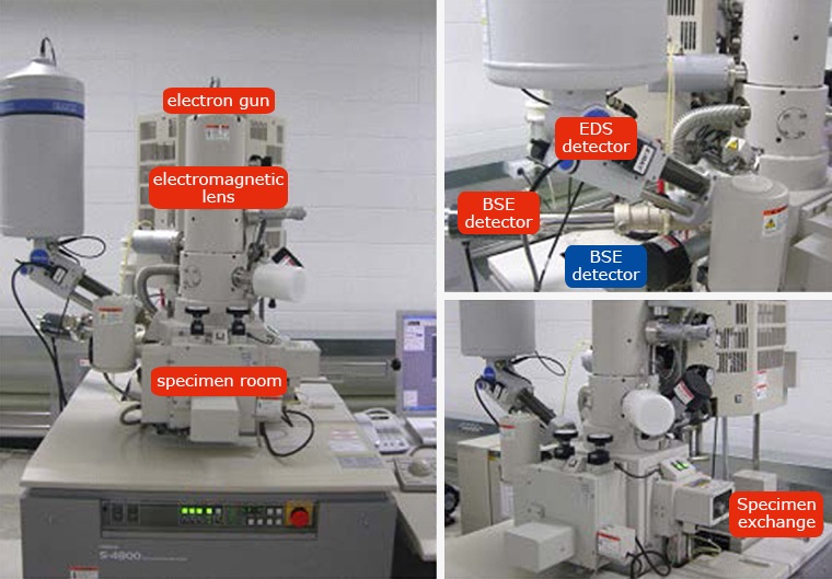 Merchandiser Clamp Complex Scanning Electron Microscopy (SEM) Technology Overview