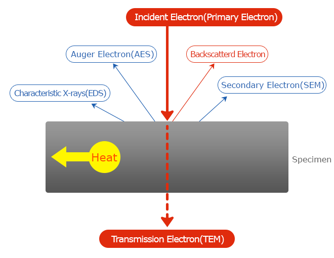 sem_img1 SEM incident electron interaction with specimen