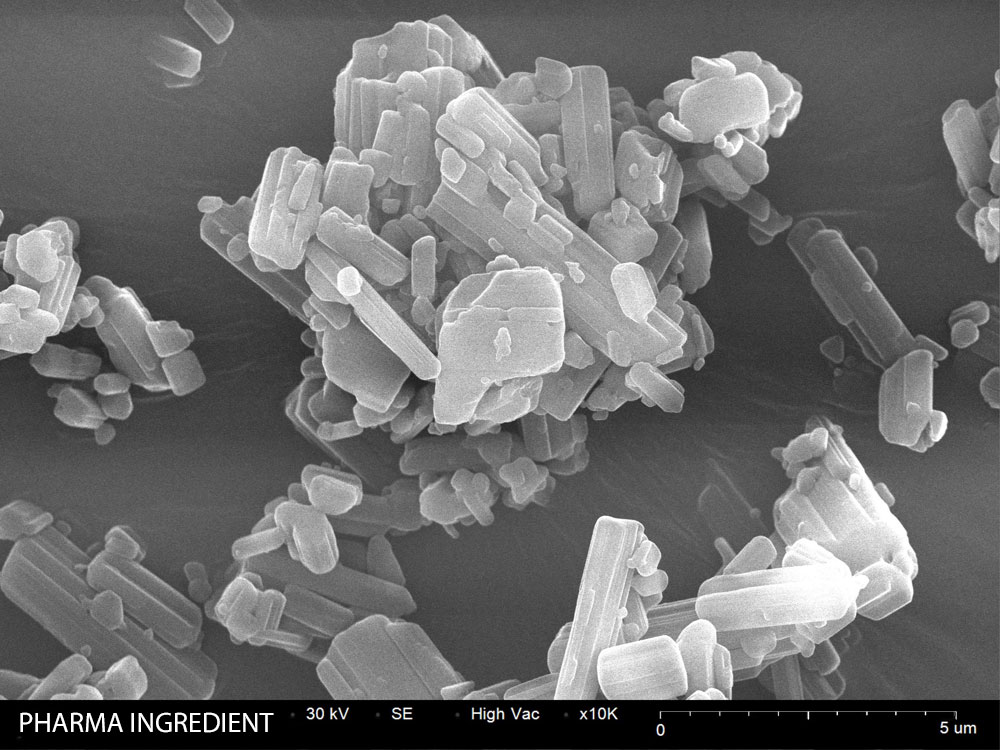 API crystals SEM