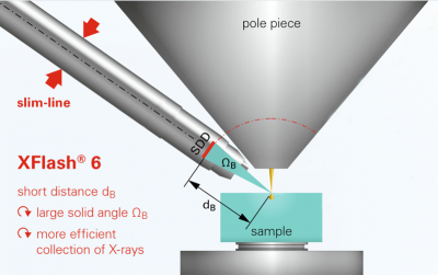 Bruker XFlash 630 EDS Silicon Drift Detector