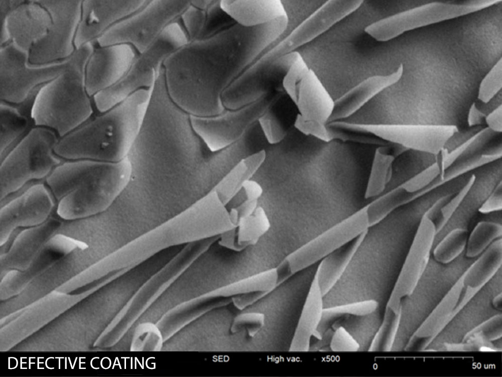 Coating defect SEM