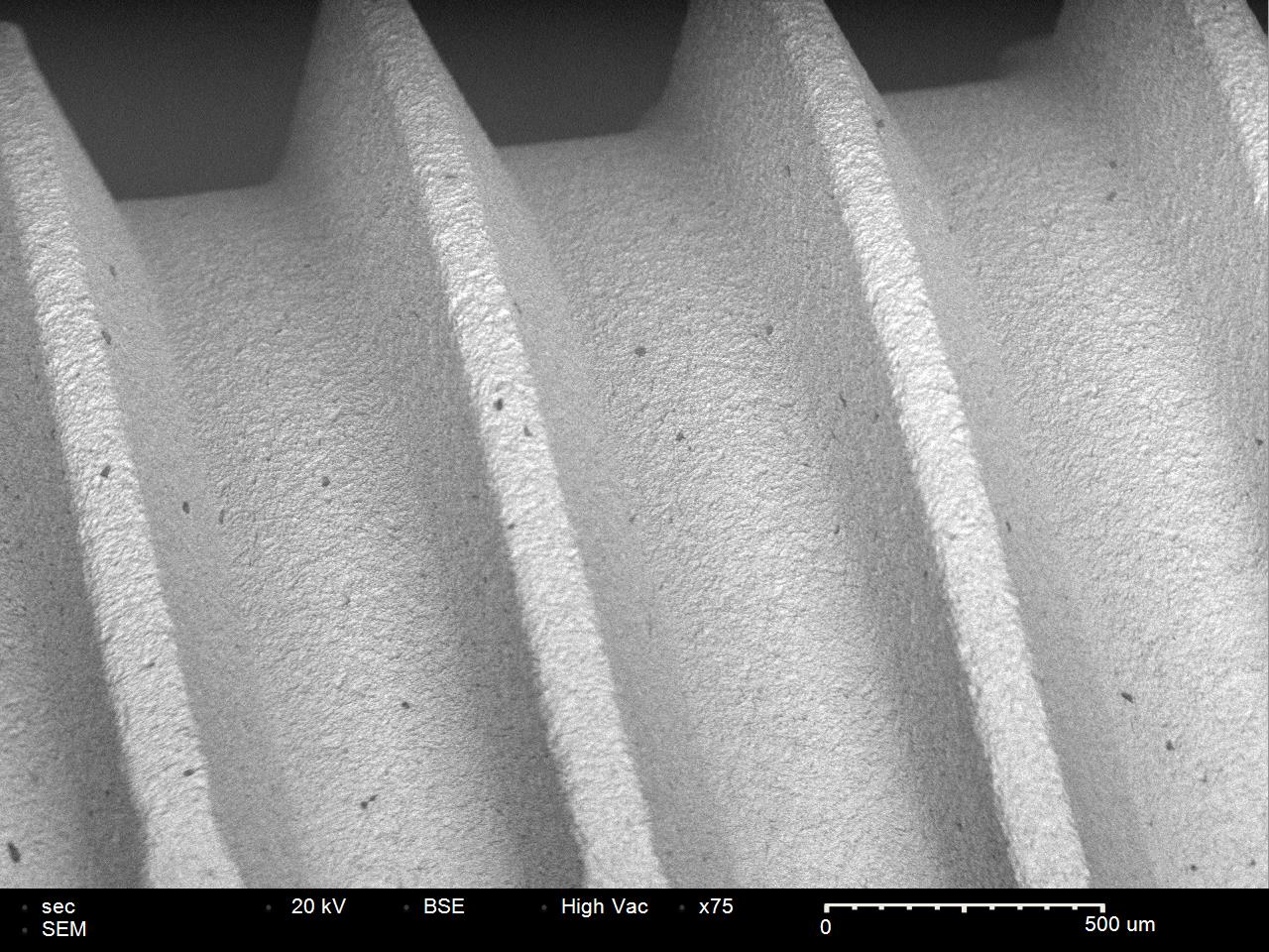 Metal fastener SEM