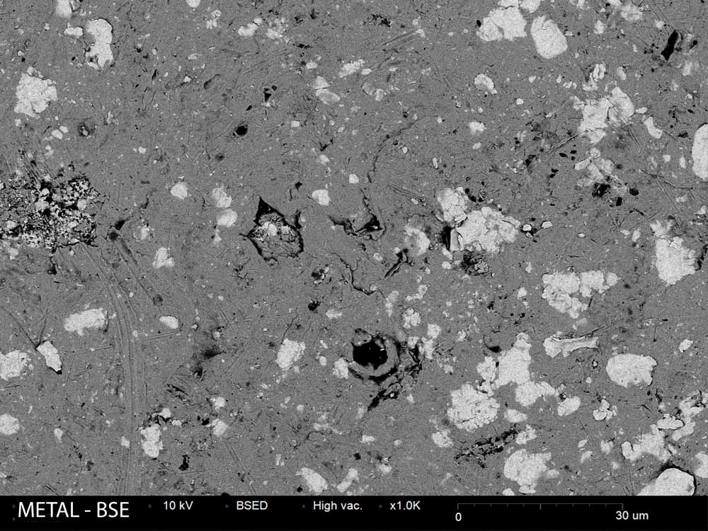 Metal BSE SEM