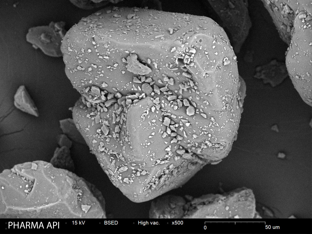 High-resolution SEM image of drug substance particles for polymorphism characterization