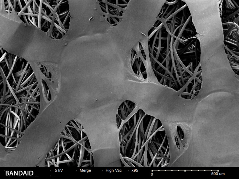 Bandage material SEM