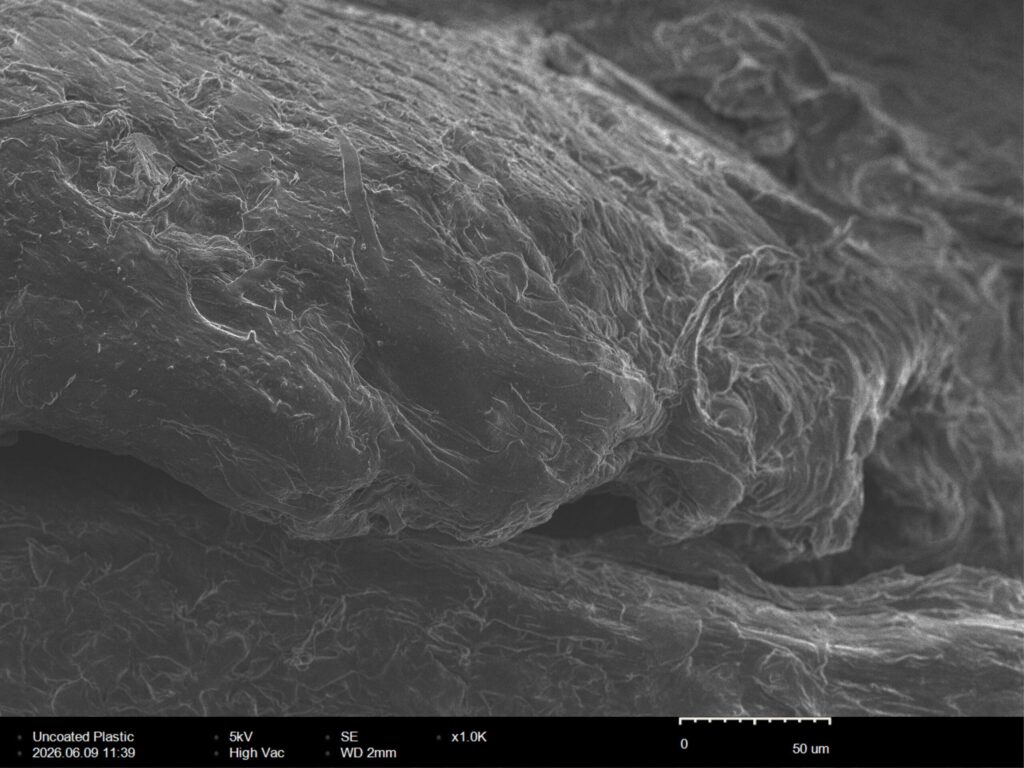Secondary-electron SEM micrograph of a single uncoated plastic microplastic particle resting on a substrate, showing surface texture and edges in grayscale, imaged on the SNE-Alpha desktop SEM at 5 kV with a 50 micron scale bar.
