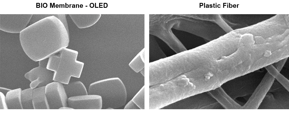 4500-se-images high magnification Secondary Electron images