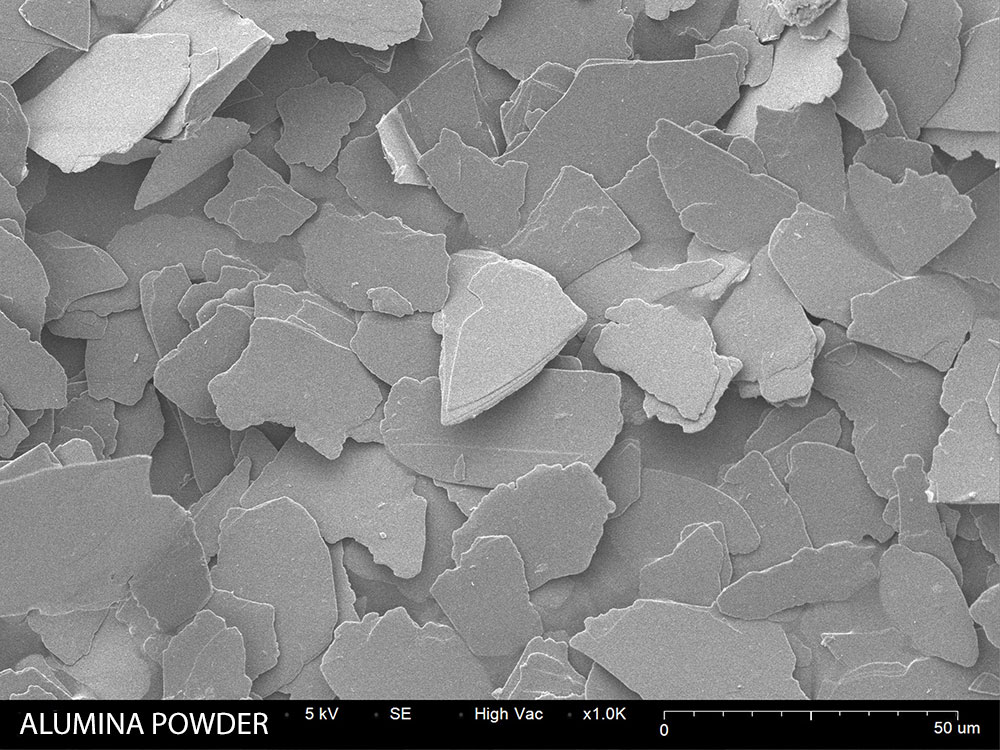 Alumina powder SEM image 1000X magnification