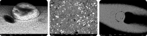 Backscatter Electron image examples