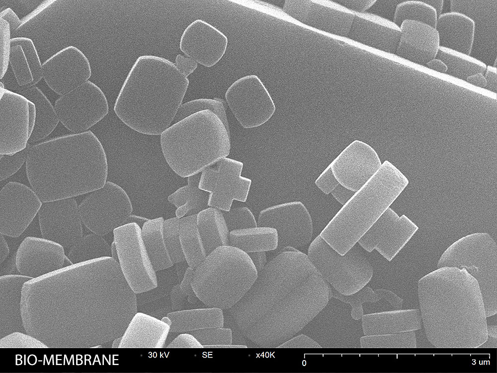 bio-membrane particles SEM image 40,000X magnification
