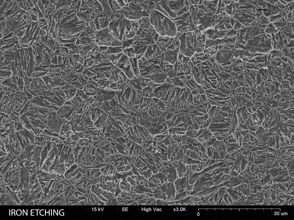Etched Iron surface SEM image 3000X magnification