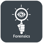 Forensic SEM Applications