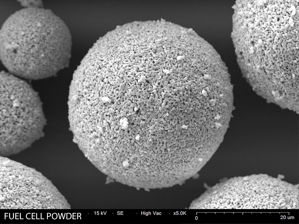 Fuel Cell powder SEM image 5000X magnification