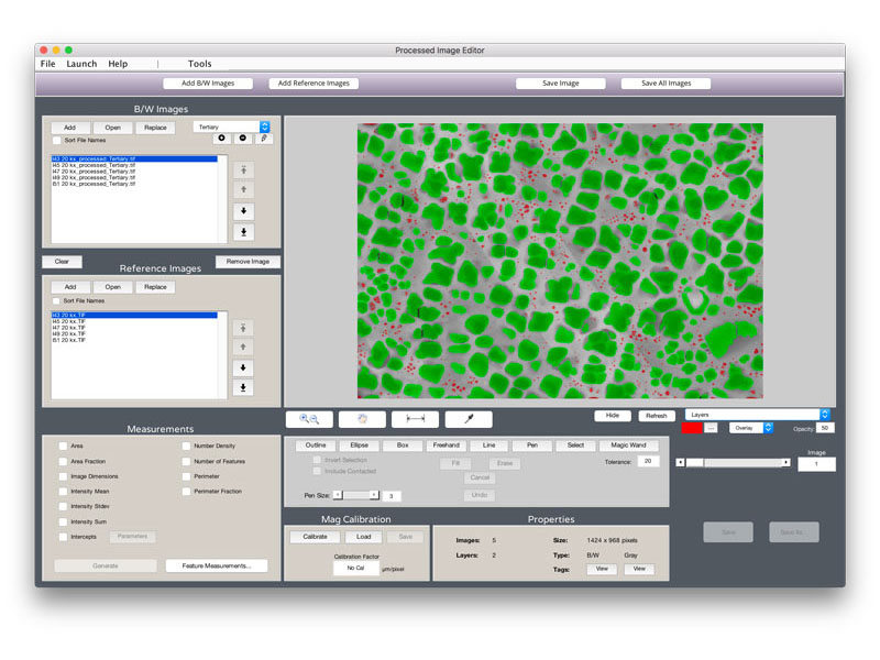 MIPAR Image Analysis Software interface