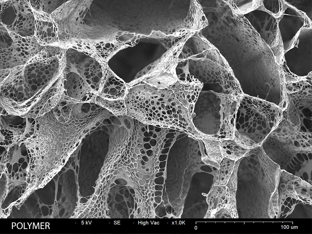 Medical polymer SEM image 1000X magnification