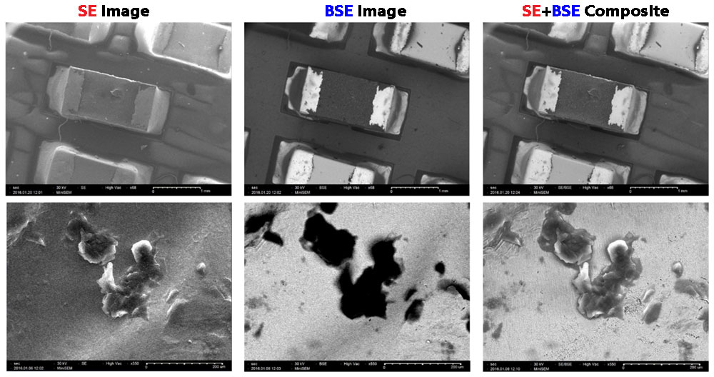 Secondary and Backscatter Electron image comparison